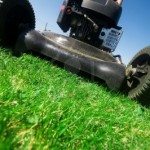 5358454-the-lawn-mower-gardening-series