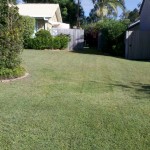 Mowing