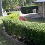after hedge #2